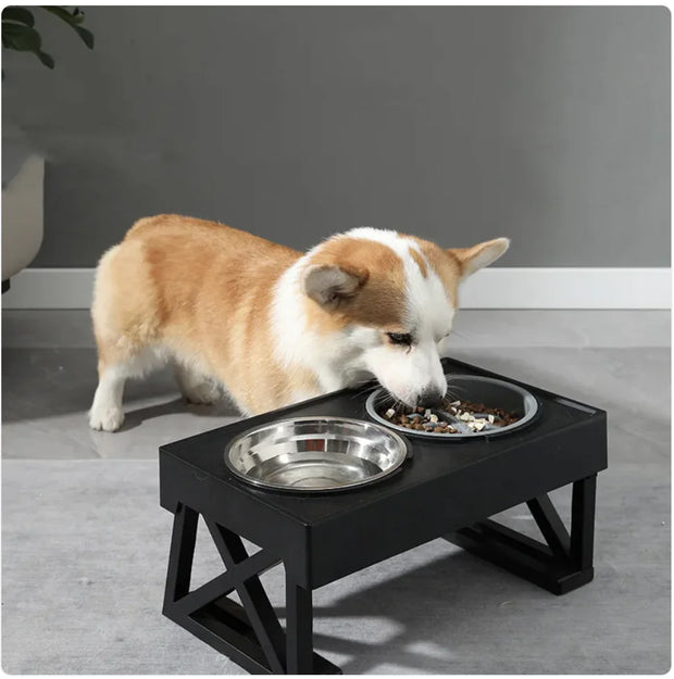 Elevated Slow-Feed Dog Bowl