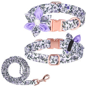 Most popular floral pattern pet collar, collar for dogs and cats