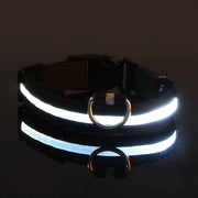Nylon LED Night Safety Flashing Glow In The Dark Dog Leash Dogs Luminous Fluorescent Pet Dog Collar