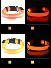 Nylon LED Night Safety Flashing Glow In The Dark Dog Leash Dogs Luminous Fluorescent Pet Dog Collar