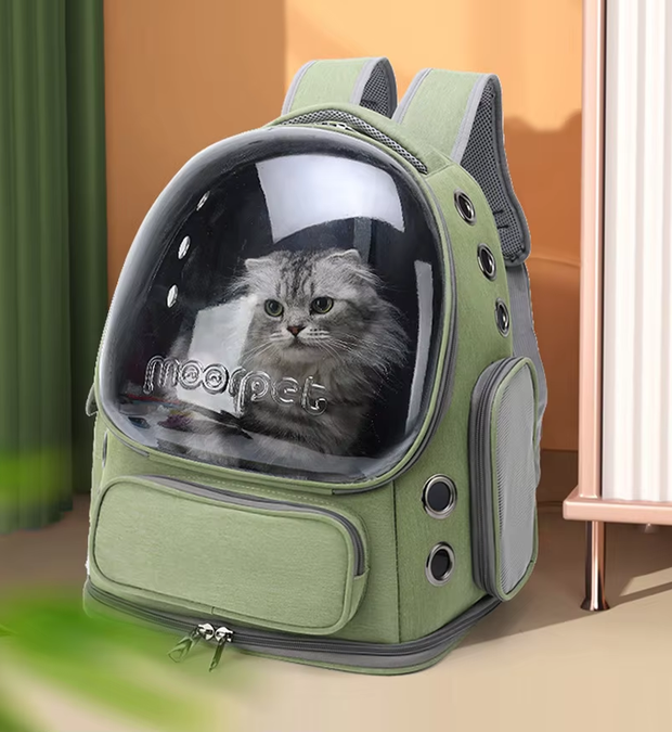 Transparent Pet Carrier Bag (Suitable for cat and small dog)