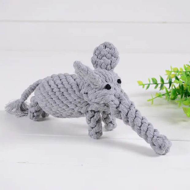 Pet Toy Collection for Your Furry Friends